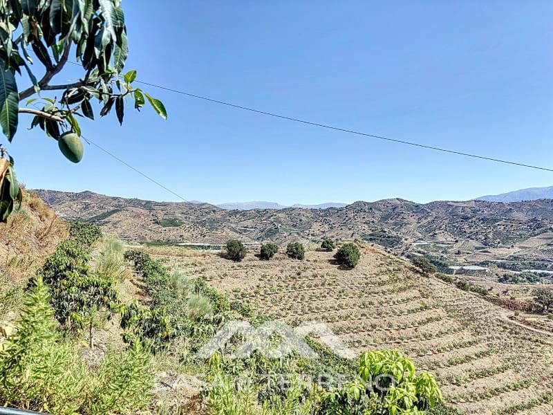 Finca/Landehus til salg i Velez-Malaga - € 425.000 (Ref: 8589317)