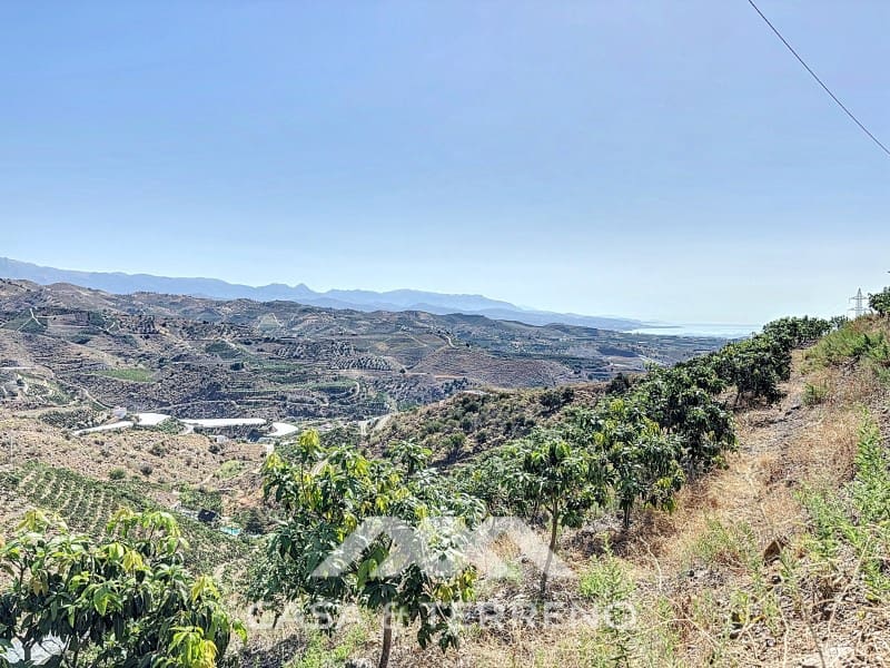 Finca/Landehus til salg i Velez-Malaga - € 425.000 (Ref: 8589317)