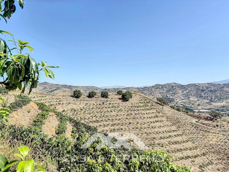 Finca/Landehus til salg i Velez-Malaga - € 425.000 (Ref: 8589317)