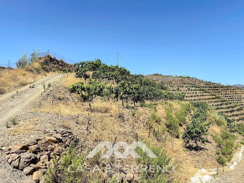 Finca/Landehus til salg i Velez-Malaga - € 425.000 (Ref: 8589317)