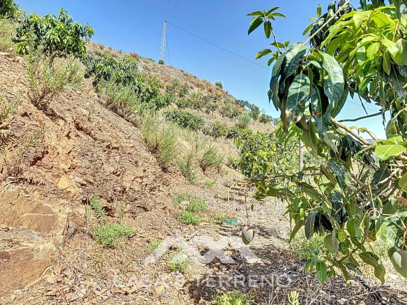 Finca/Landehus til salg i Velez-Malaga - € 425.000 (Ref: 8589317)