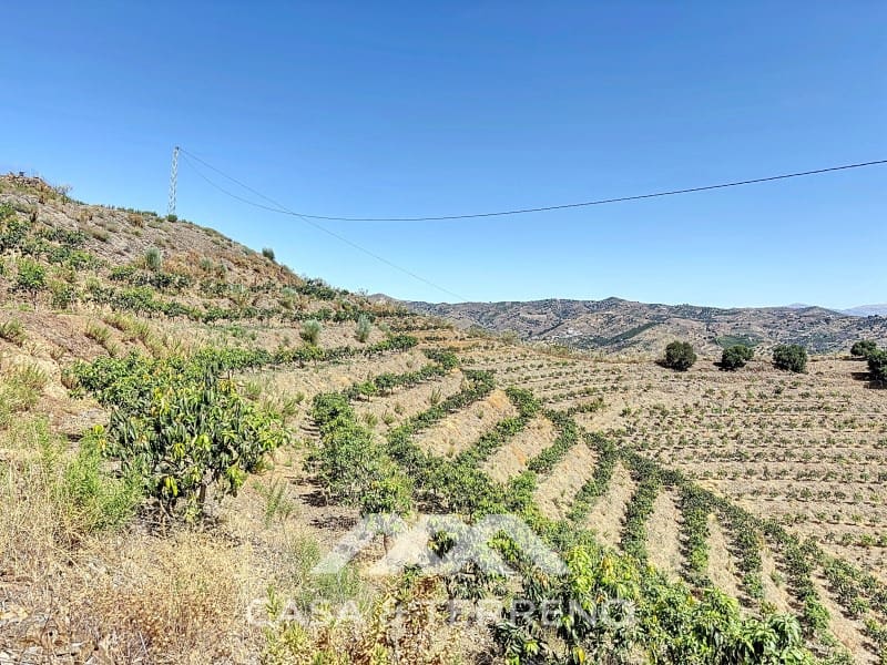 Finca/Landehus til salg i Velez-Malaga - € 425.000 (Ref: 8589317)