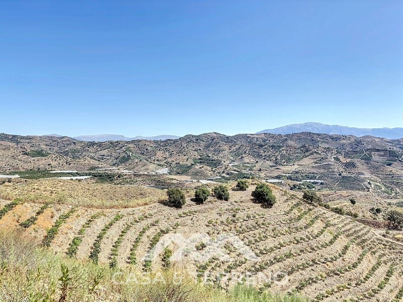 Finca/Landehus til salg i Velez-Malaga - € 425.000 (Ref: 8589317)