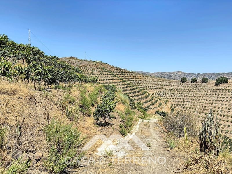 Finca/Landehus til salg i Velez-Malaga - € 425.000 (Ref: 8589317)