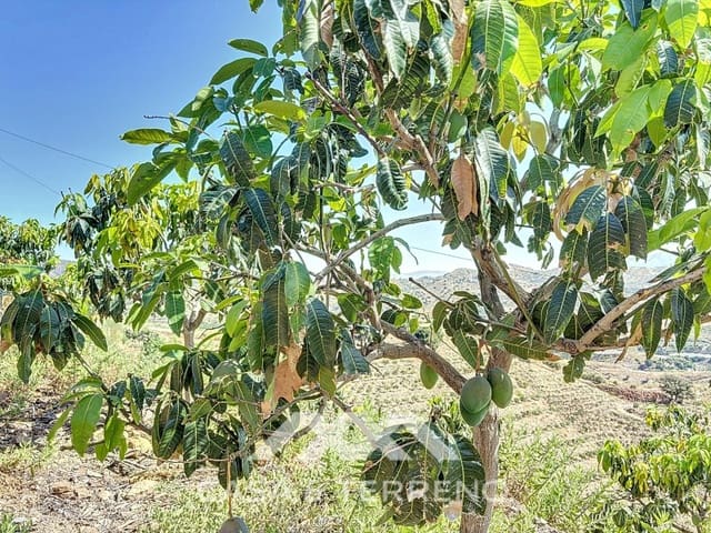 Finca/Landehus til salg i Vélez-Málaga - € 425.000 (Ref: 8589317)