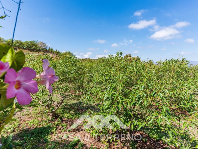 3 quarto Quinta/Casa Rural para venda em Velez-Malaga com garagem - 1 225 000 € (Ref: 8589319)