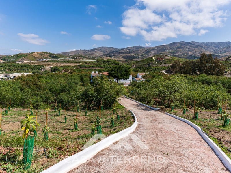 3 quarto Quinta/Casa Rural para venda em Velez-Malaga com garagem - 1 225 000 € (Ref: 8589319)