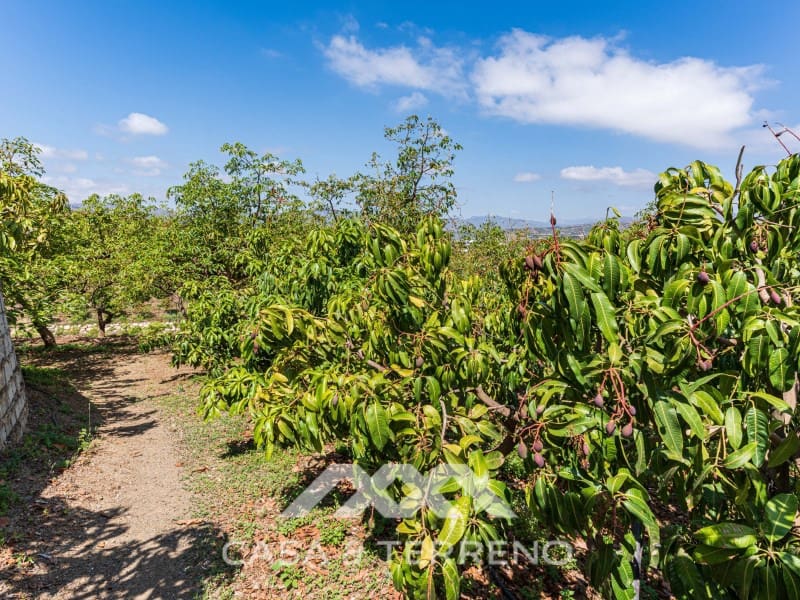 3 quarto Quinta/Casa Rural para venda em Velez-Malaga com garagem - 1 225 000 € (Ref: 8589319)