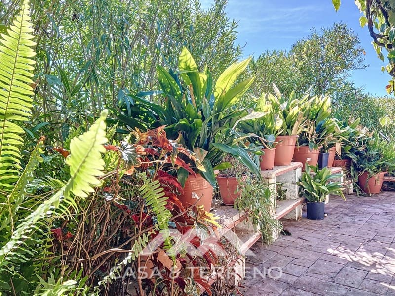 3 soveværelse Villa til salg i Sedella med swimmingpool - € 223.000 (Ref: 8591729)