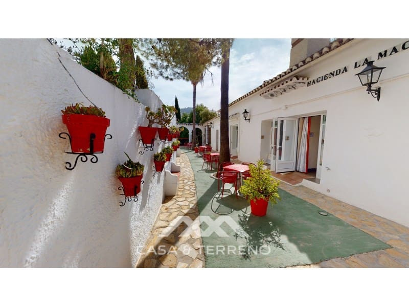 20 soveværelse Guesthouse/B & B til salg i Arenas med swimmingpool - € 1.500.000 (Ref: 8672176)