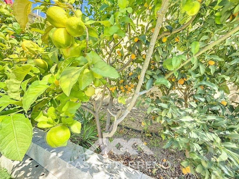 3 soveværelse Villa til salg i El Penoncillo med swimmingpool - € 1.095.000 (Ref: 8851928)