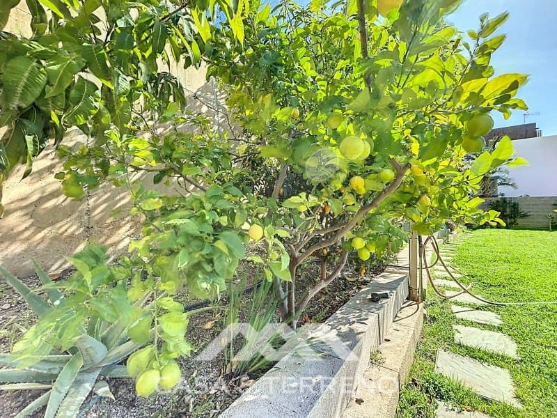 3 soveværelse Villa til salg i El Penoncillo med swimmingpool - € 1.095.000 (Ref: 8851928)