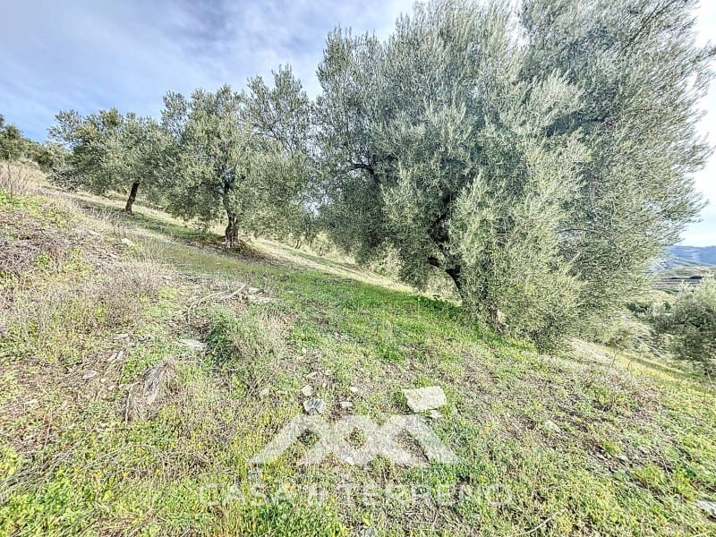 Grunde uden byggetilladelser til salg i Sedella - € 320.000 (Ref: 8902408)