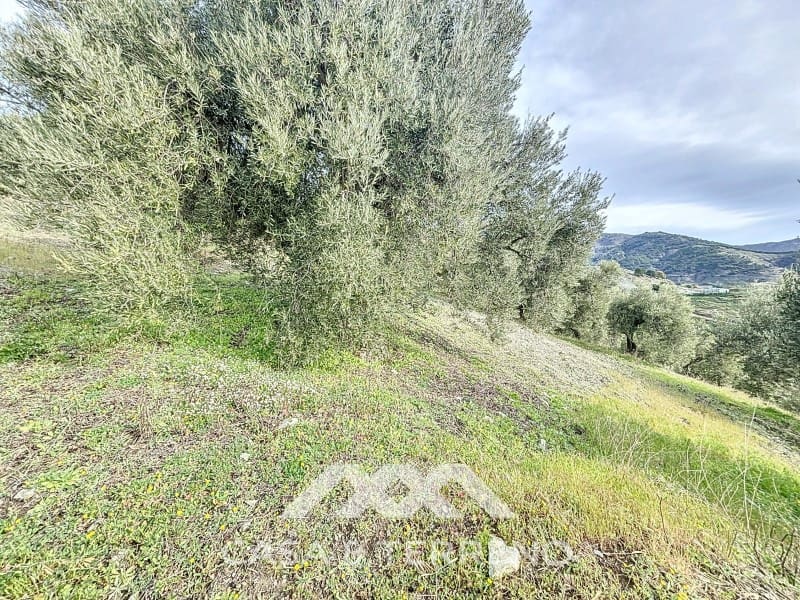 Grunde uden byggetilladelser til salg i Sedella - € 320.000 (Ref: 8902408)