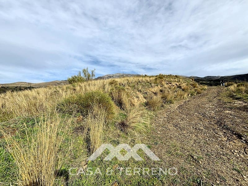 Grunde uden byggetilladelser til salg i Sedella - € 320.000 (Ref: 8902408)