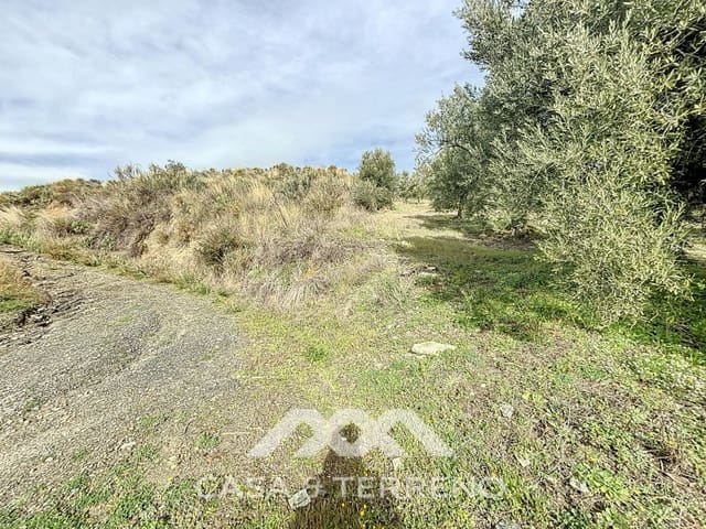 Undeveloped Land for sale in Sedella - € 320,000 (Ref: 8902408)