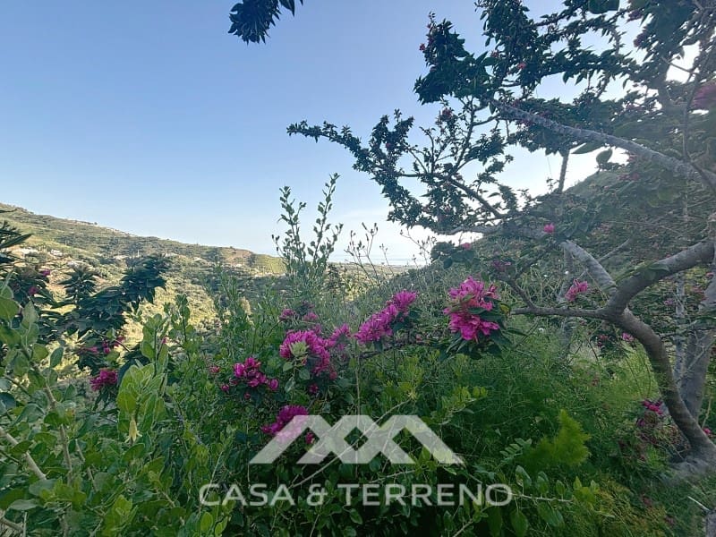 3 bedroom Villa for sale in Arenas with pool - € 275,000 (Ref: 8915648)