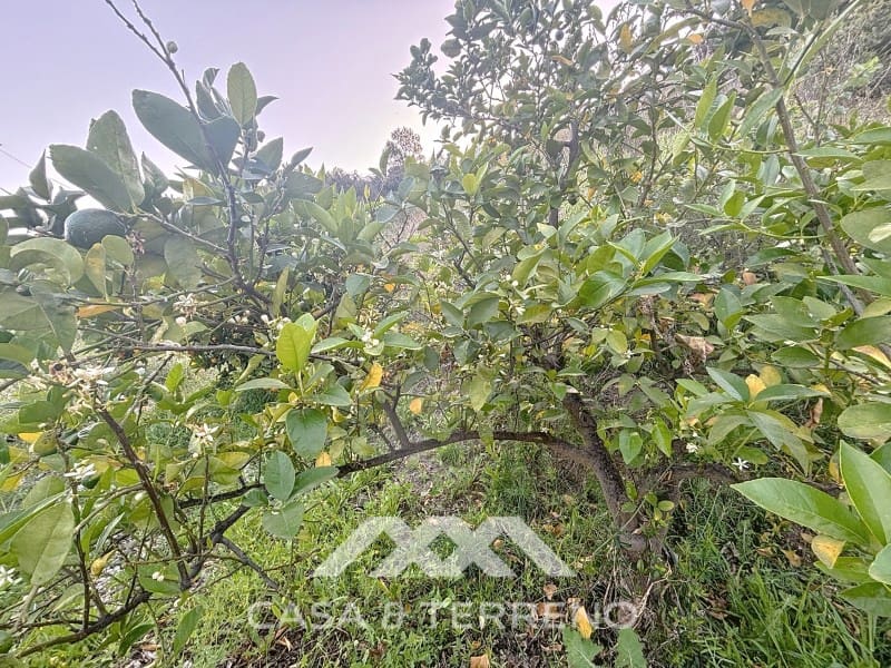 3 bedroom Villa for sale in Arenas with pool - € 275,000 (Ref: 8915648)