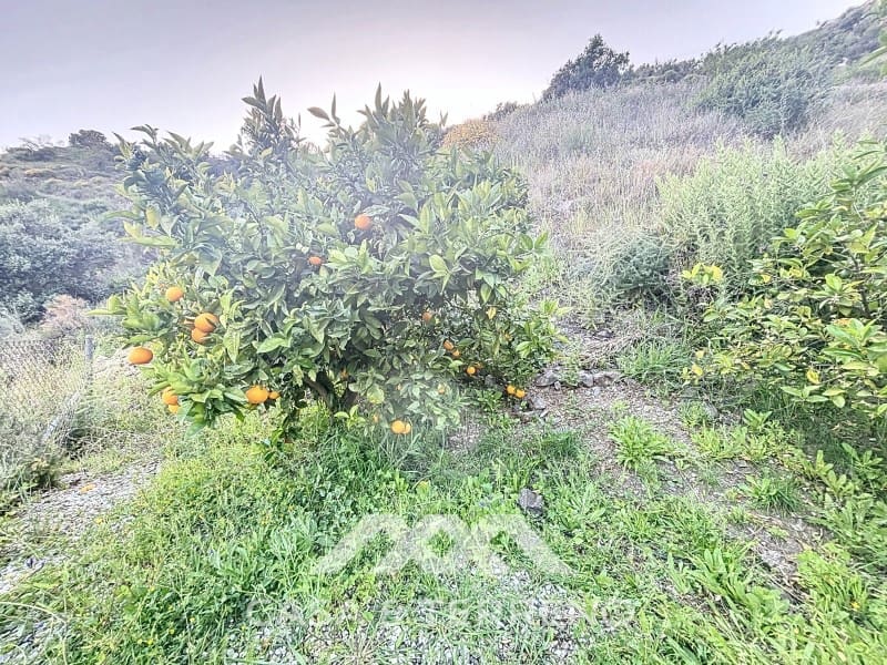 3 bedroom Villa for sale in Arenas with pool - € 275,000 (Ref: 8915648)