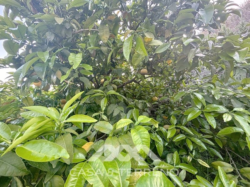 3 bedroom Villa for sale in Arenas with pool - € 275,000 (Ref: 8915648)