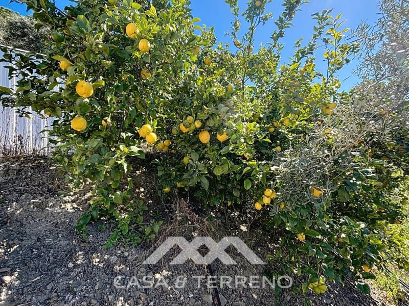 3 slaapkamer Villa te koop in Competa met zwembad - € 415.000 (Ref: 8924165)