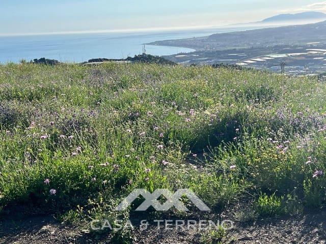 Undeveloped Land for sale in Algarrobo - € 89,000 (Ref: 8971617)