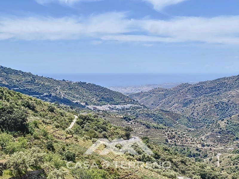 3 soveværelse Villa til salg i Sayalonga med swimmingpool - € 548.000 (Ref: 8986329)