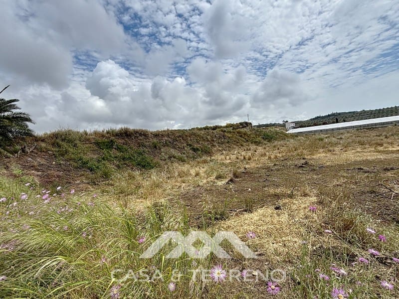 Finca/Maison de Campagne à vendre à Almayate - 1 500 000 € (Ref: 8994317)