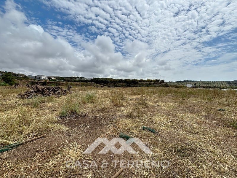 Finca/Maison de Campagne à vendre à Almayate - 1 500 000 € (Ref: 8994317)