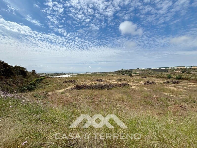 Finca/Maison de Campagne à vendre à Almayate - 1 500 000 € (Ref: 8994317)