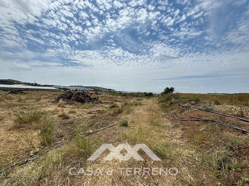 Finca/Maison de Campagne à vendre à Almayate - 1 500 000 € (Ref: 8994317)