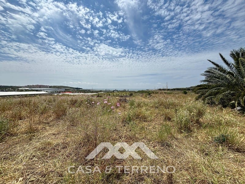 Finca/Maison de Campagne à vendre à Almayate - 1 500 000 € (Ref: 8994317)