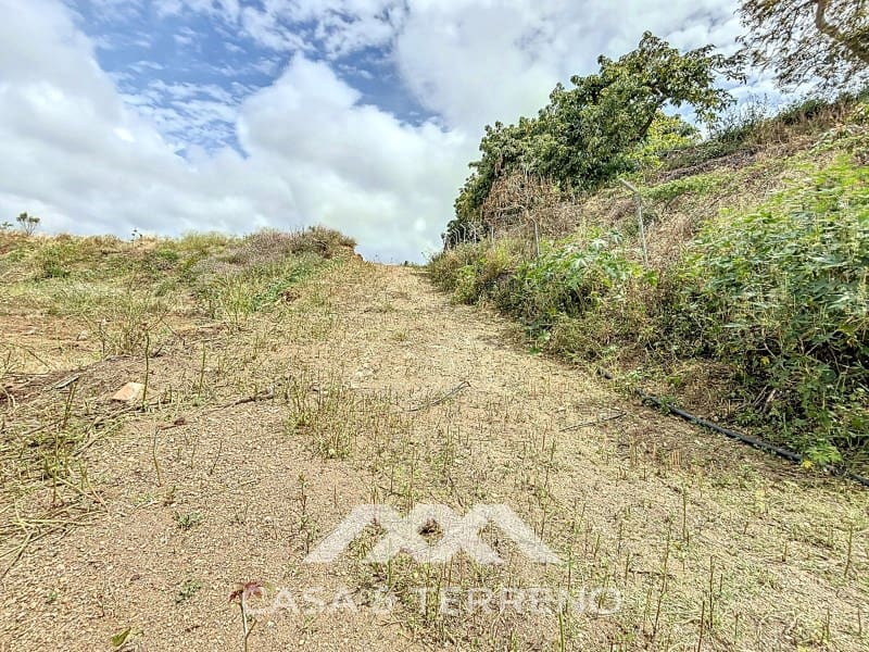 Finca/Maison de Campagne à vendre à Almayate - 1 500 000 € (Ref: 8994317)