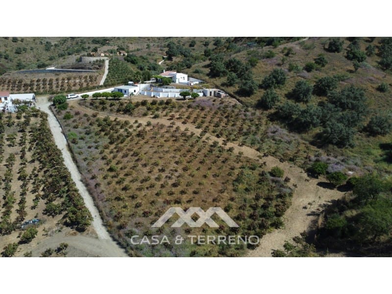 3 soverom Finca/Herregård til salgs i Almayate med svømmebasseng - € 340 000 (Ref: 9001211)