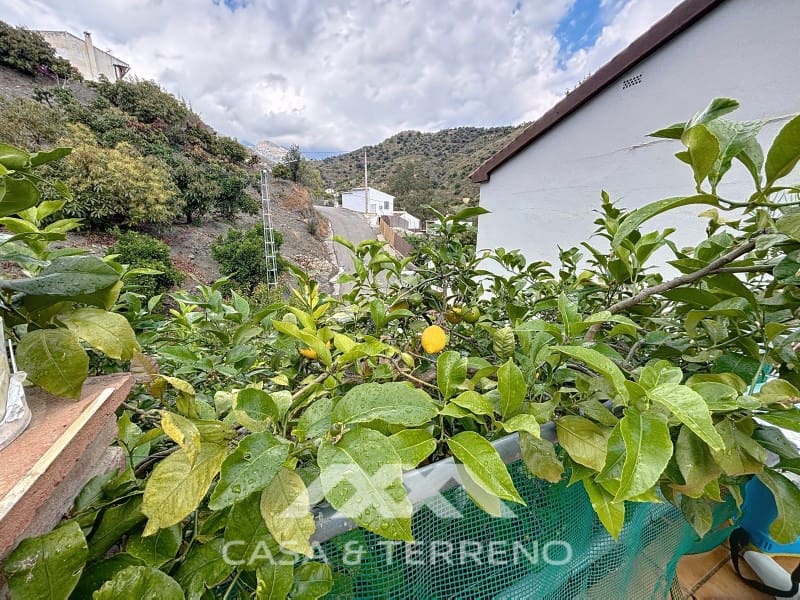 5 sypialnia Willa na sprzedaż w Vinuela z basenem garażem - 360 000 € (Ref: 9008612)