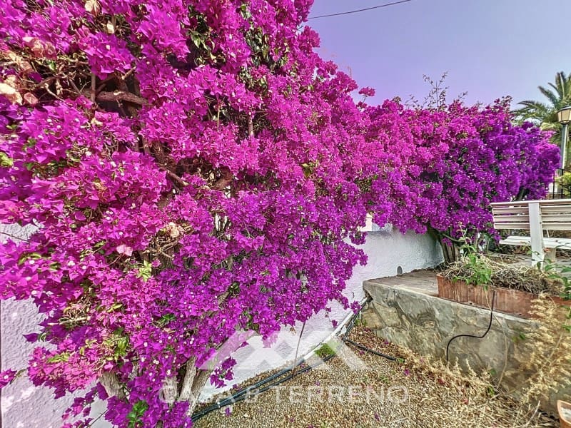 5 chambre Villa/Maison à vendre à Caleta de Velez avec piscine garage - 585 000 € (Ref: 9036999)