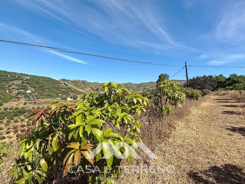 3 soverom Finca/Herregård til salgs i Almayate - € 799 000 (Ref: 9126923)