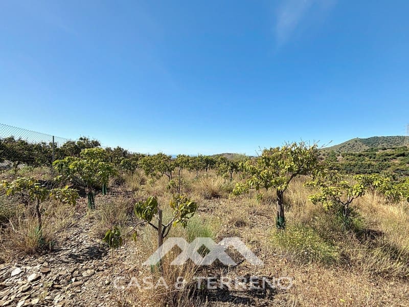 3 soverom Finca/Herregård til salgs i Almayate - € 799 000 (Ref: 9126923)