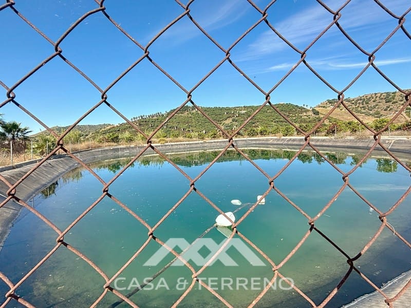 3 soverom Finca/Herregård til salgs i Almayate - € 799 000 (Ref: 9126923)