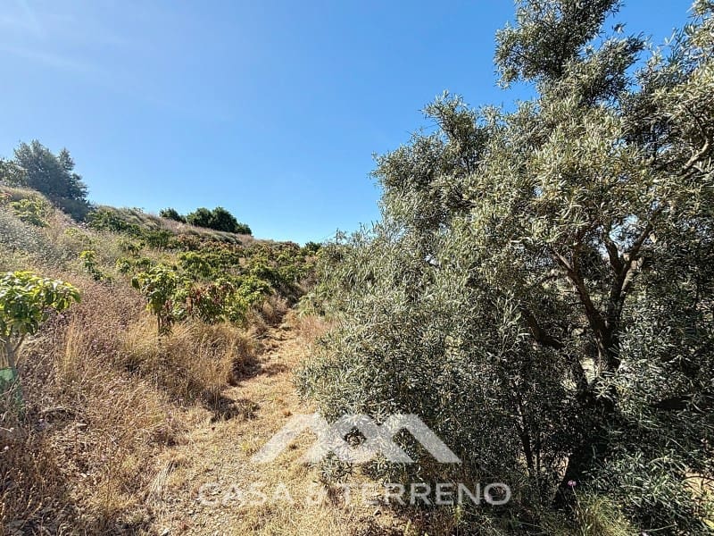 3 soverom Finca/Herregård til salgs i Almayate - € 799 000 (Ref: 9126923)