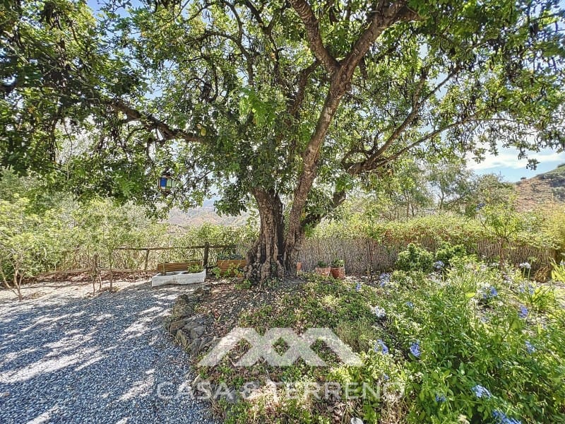 5 sovrum Villa till salu i Arenas med pool - 795 000 € (Ref: 9132004)