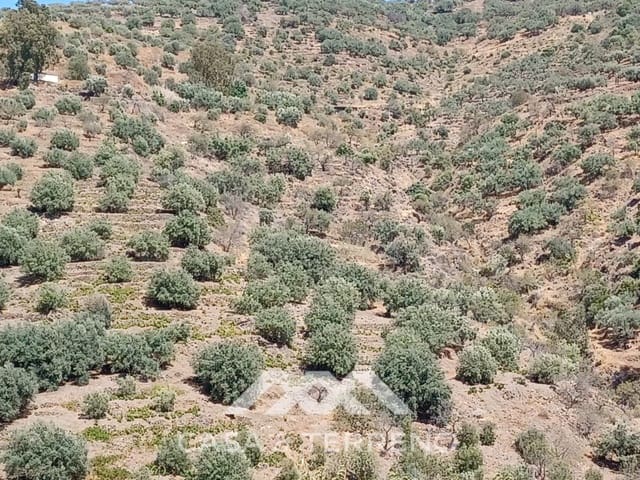 Grunde uden byggetilladelser til salg i Arenas - € 25.000 (Ref: 9181302)