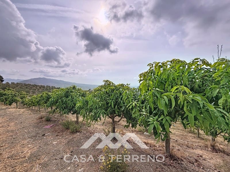 2 camera da letto Finca/Casa di Campagna in vendita in Velez-Malaga con piscina - 420.000 € (Rif: 9335353)