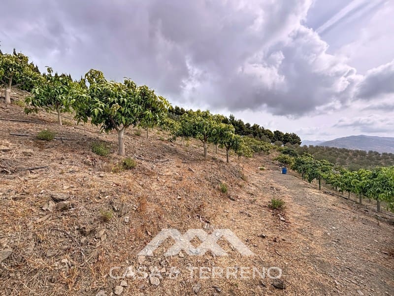 2 camera da letto Finca/Casa di Campagna in vendita in Velez-Malaga con piscina - 420.000 € (Rif: 9335353)