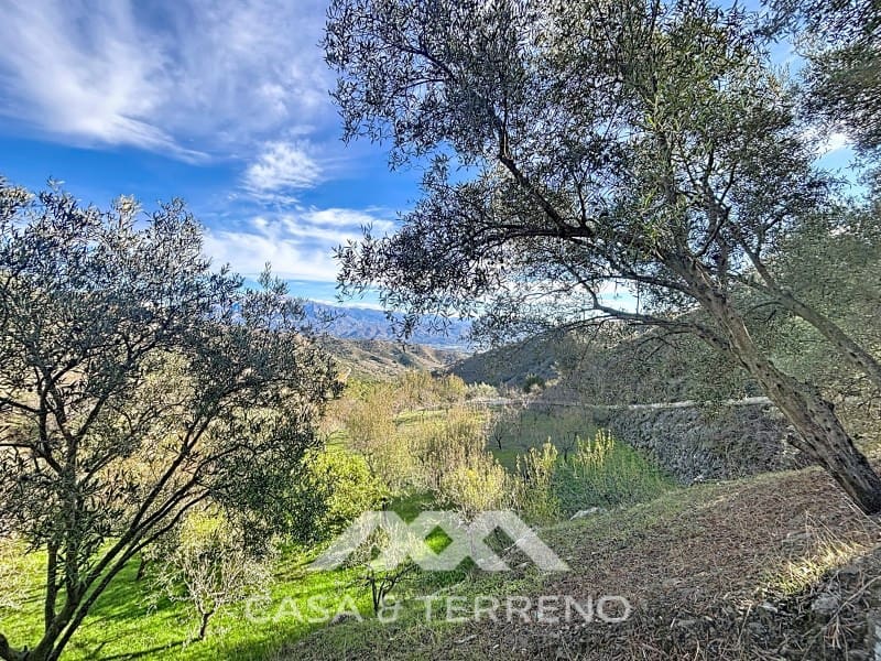 Finca/Casa Rural de 3 habitaciones en Macharaviaya en venta con piscina garaje - 456.000 € (Ref: 9462487)