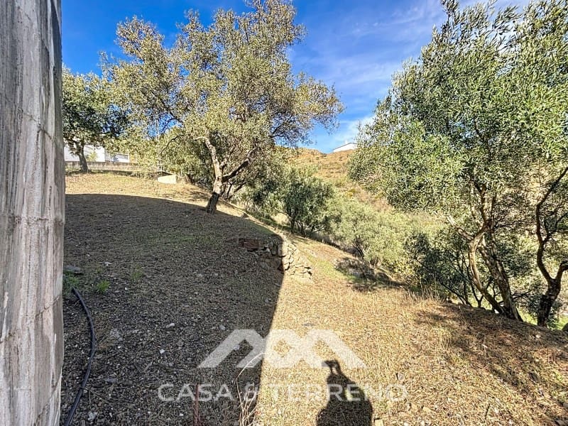Finca/Casa Rural de 3 habitaciones en Macharaviaya en venta con piscina garaje - 456.000 € (Ref: 9462487)