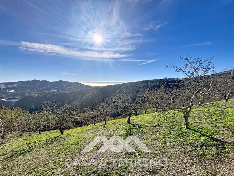 Finca/Casa Rural de 3 habitaciones en Macharaviaya en venta con piscina garaje - 456.000 € (Ref: 9462487)