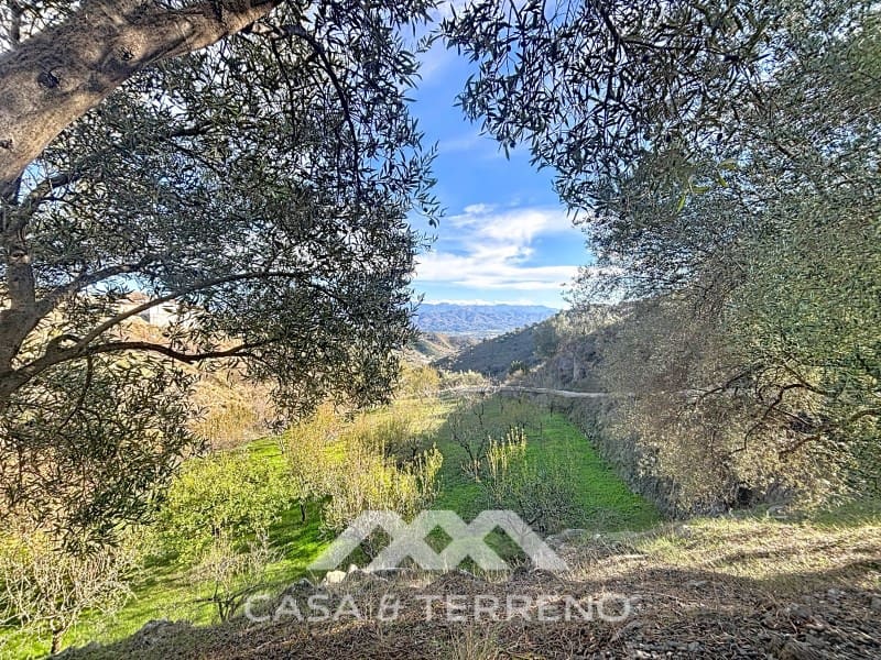 Finca/Casa Rural de 3 habitaciones en Macharaviaya en venta con piscina garaje - 456.000 € (Ref: 9462487)