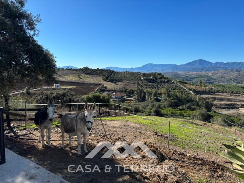 Chalet de 4 habitaciones en Alora en venta con piscina garaje - 1.200.000 € (Ref: 9462488)