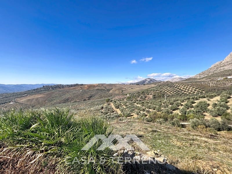 4 quarto Quinta/Casa Rural para venda em Periana - 350 000 € (Ref: 9462490)